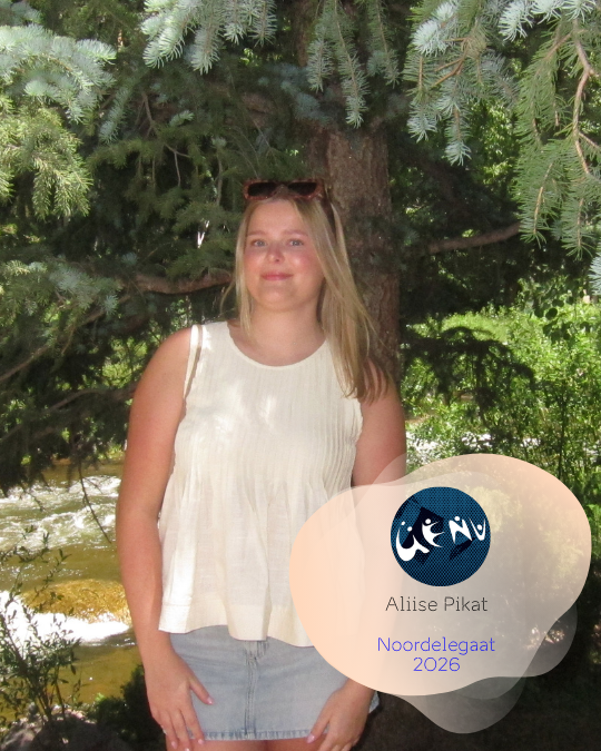 Aliise Pikat, Ameerika