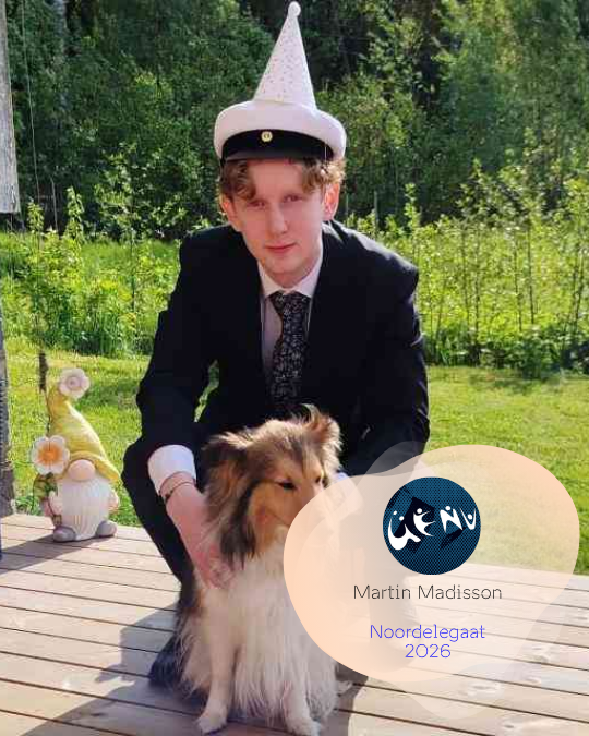 Martin Madisson, Soome