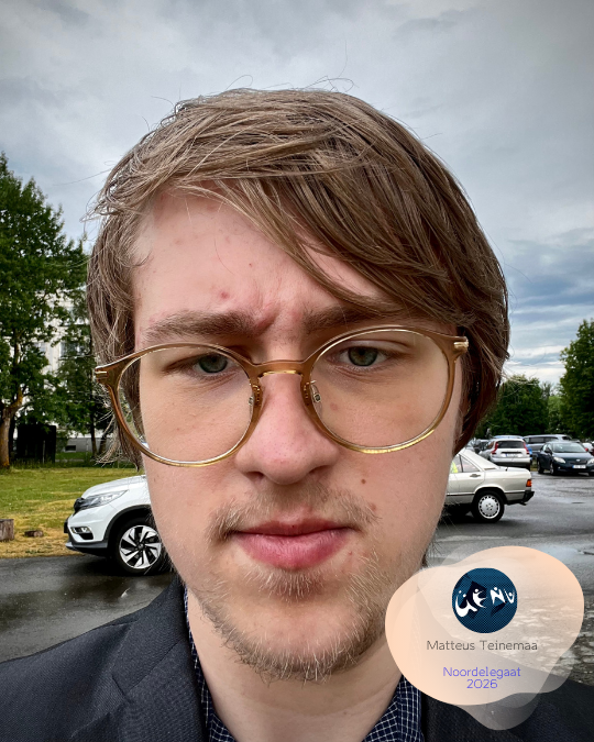 Matteus Teinemaa, Eesti